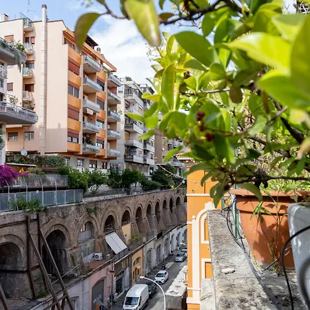 Your Trastevere Terrace רומא